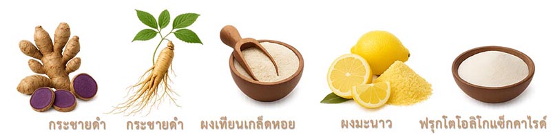 ส่วนผสม DanGentle กระชายดำ โสมเกาหลี สมุนไพรไทย